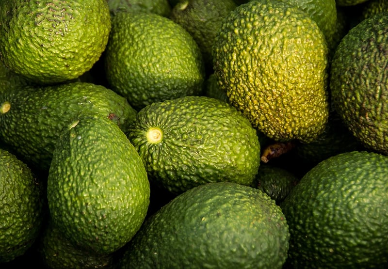 Sustainable Ingredients